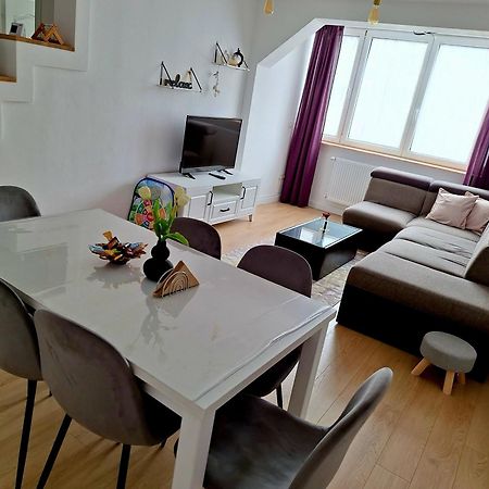 Apartament Central Vişeu de Sus Zewnętrze zdjęcie