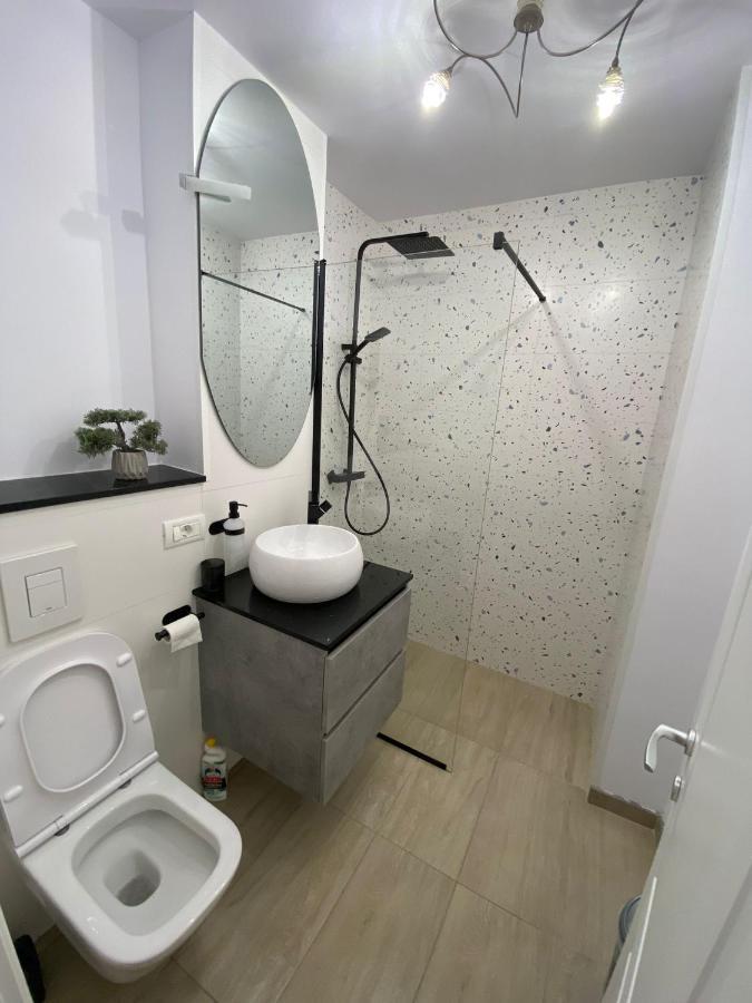 Apartament Central Vişeu de Sus Zewnętrze zdjęcie