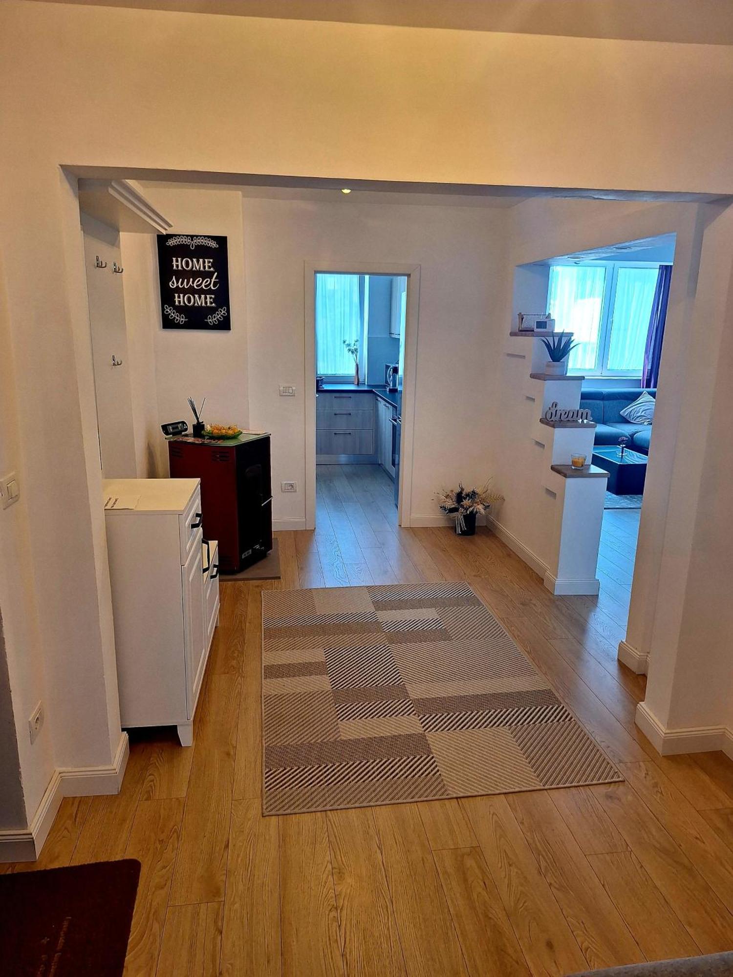 Apartament Central Vişeu de Sus Zewnętrze zdjęcie