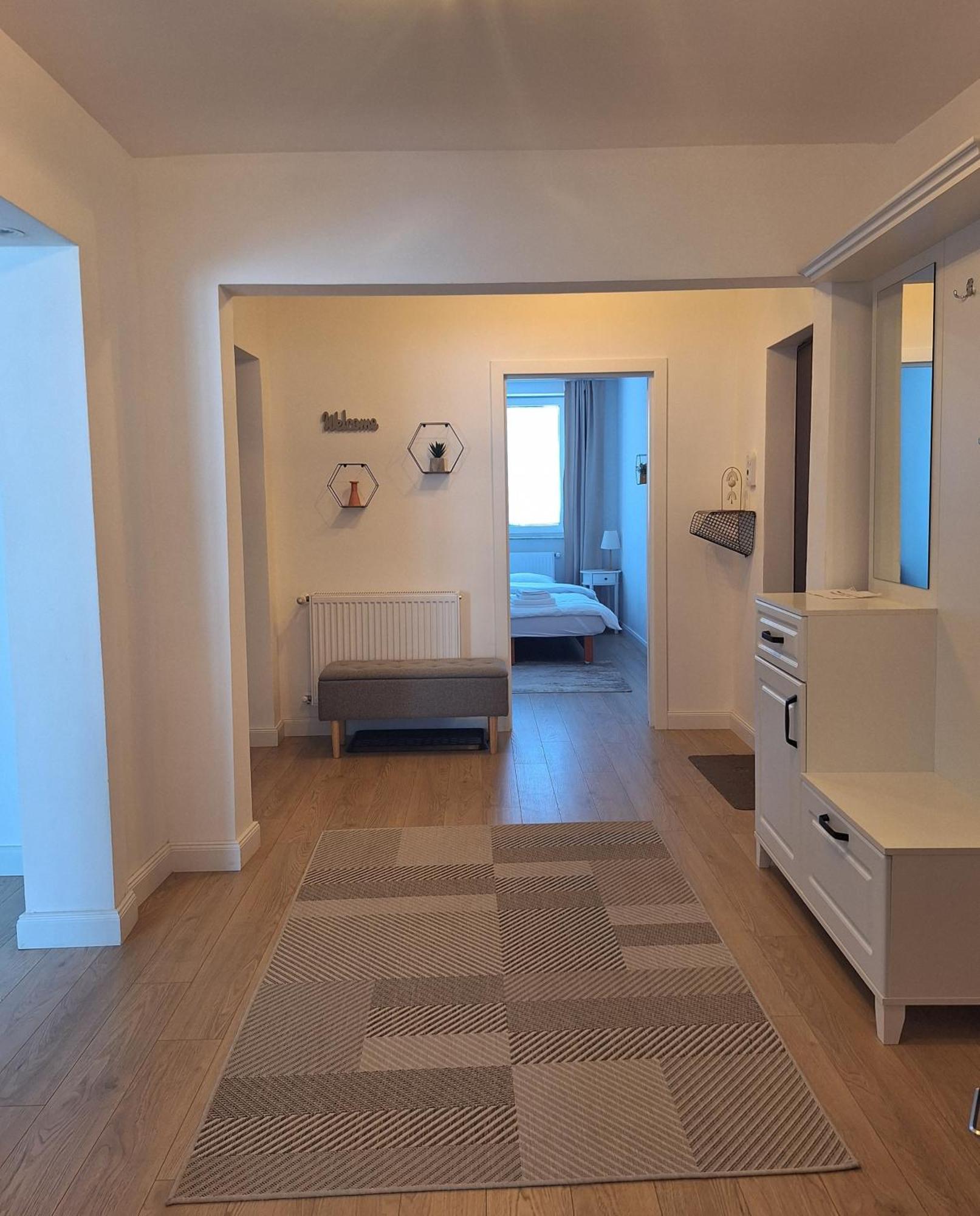 Apartament Central Vişeu de Sus Zewnętrze zdjęcie